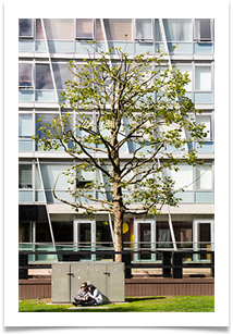 08 - Urban Oasis - Bill Rigby